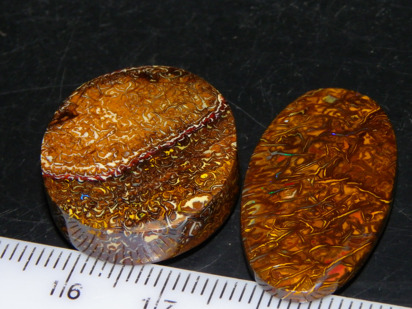 2 Nice Cut/Polished Koroit Opal Cabs/Freeforms 54.8cts Great Patterns Slight Fires :)