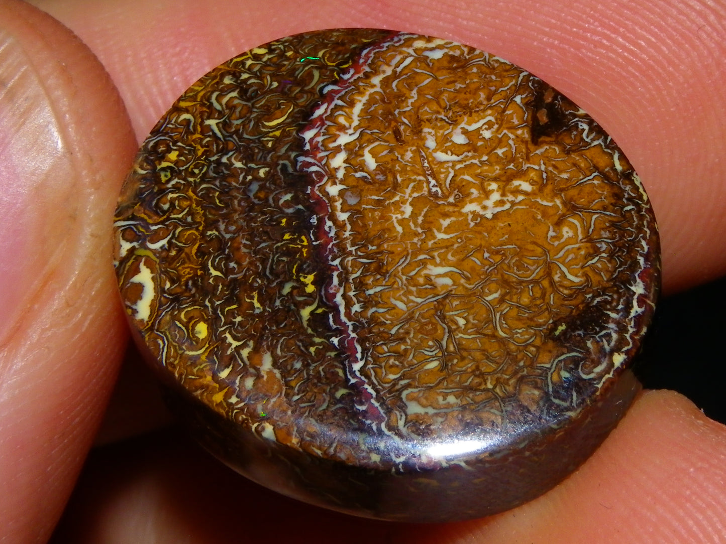 2 Nice Cut/Polished Koroit Opal Cabs/Freeforms 54.8cts Great Patterns Slight Fires :)