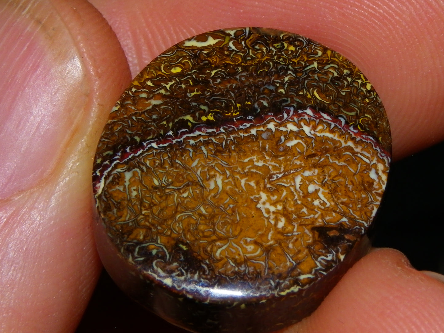 2 Nice Cut/Polished Koroit Opal Cabs/Freeforms 54.8cts Great Patterns Slight Fires :)