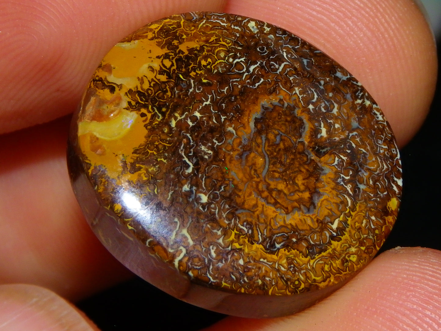 2 Nice Cut/Polished Koroit Opal Cabs/Freeforms 54.8cts Great Patterns Slight Fires :)