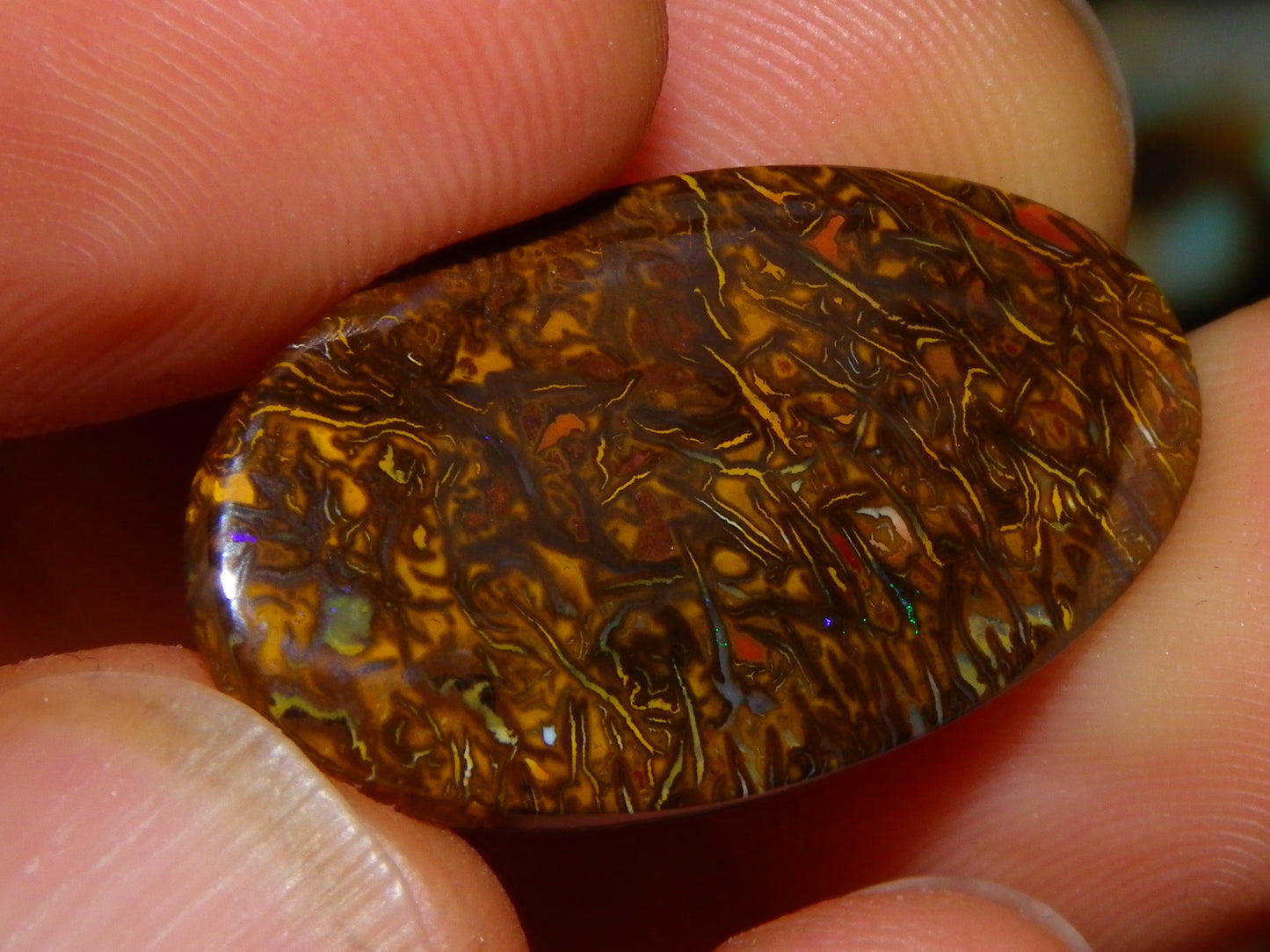 2 Nice Cut/Polished Koroit Opal Cabs/Freeforms 54.8cts Great Patterns Slight Fires :)