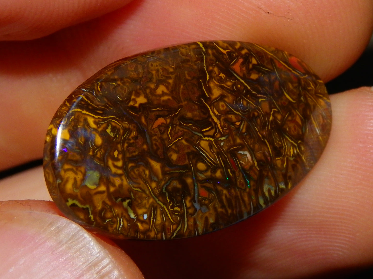 2 Nice Cut/Polished Koroit Opal Cabs/Freeforms 54.8cts Great Patterns Slight Fires :)