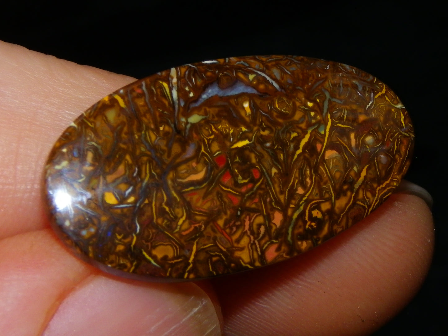 2 Nice Cut/Polished Koroit Opal Cabs/Freeforms 54.8cts Great Patterns Slight Fires :)