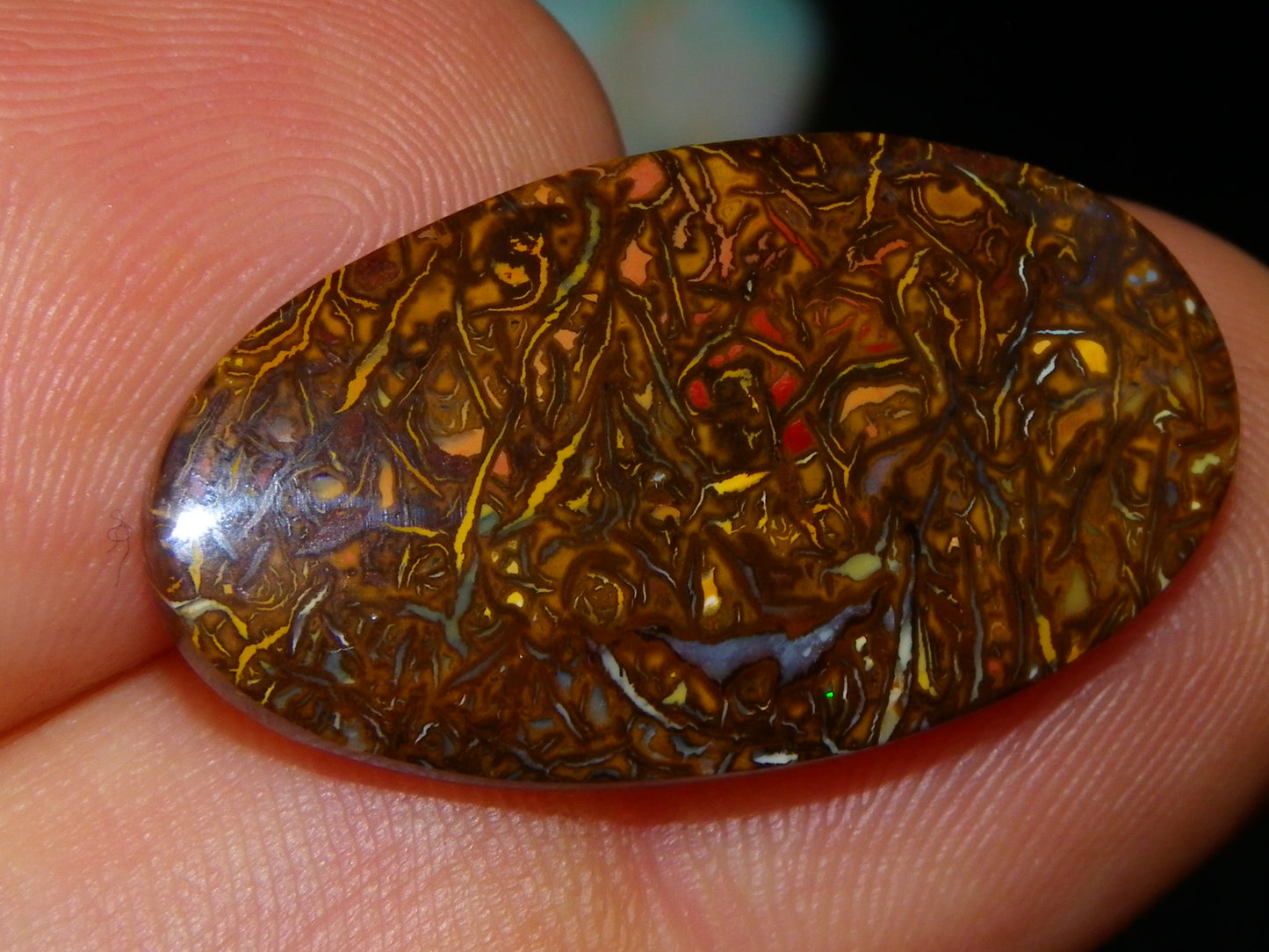 2 Nice Cut/Polished Koroit Opal Cabs/Freeforms 54.8cts Great Patterns Slight Fires :)