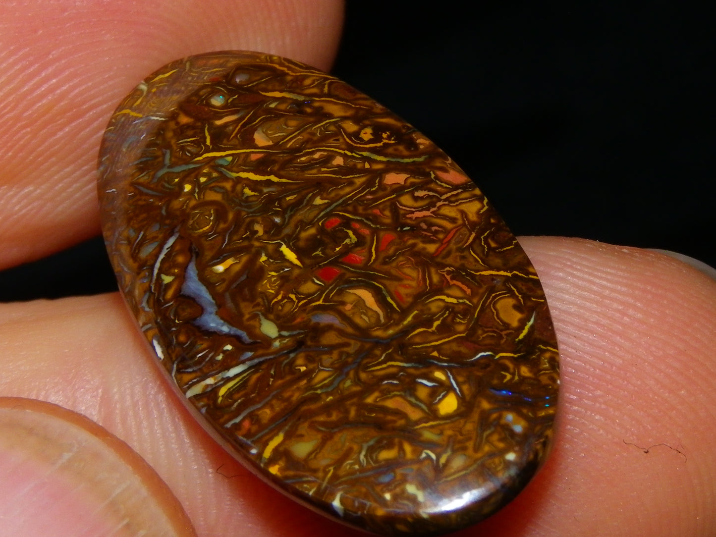 2 Nice Cut/Polished Koroit Opal Cabs/Freeforms 54.8cts Great Patterns Slight Fires :)