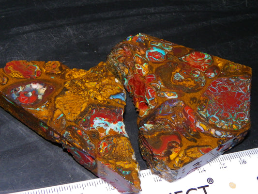 2 Nice Rough/Sliced Koroit/Conglomerate Opals 800cts Queensland Australia