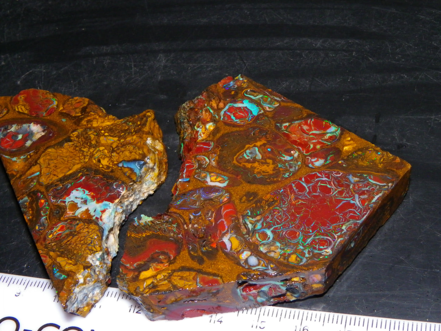 2 Nice Rough/Sliced Koroit/Conglomerate Opals 800cts Queensland Australia