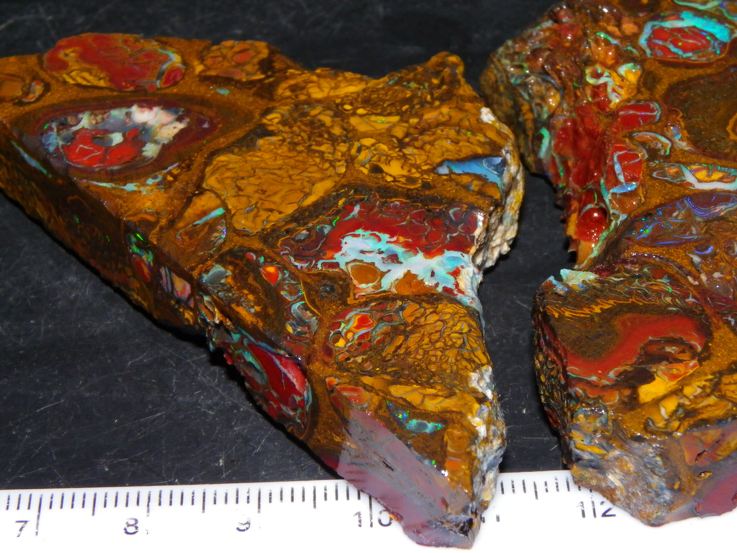 2 Nice Rough/Sliced Koroit/Conglomerate Opals 800cts Queensland Australia