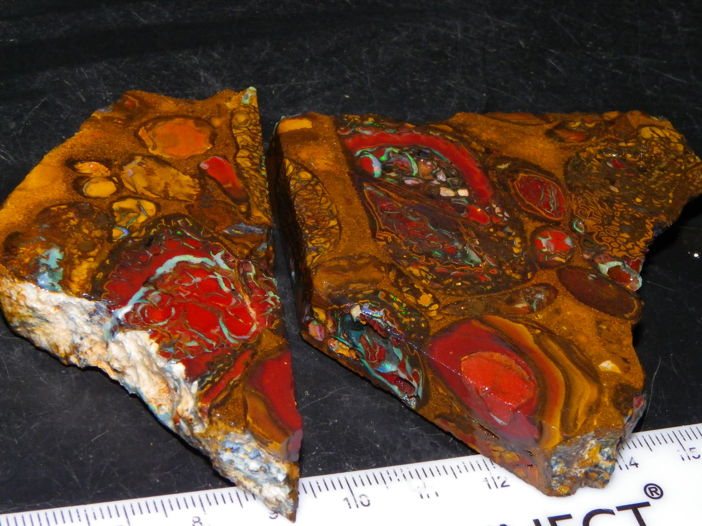 2 Nice Rough/Sliced Koroit/Conglomerate Opals 800cts Queensland Australia