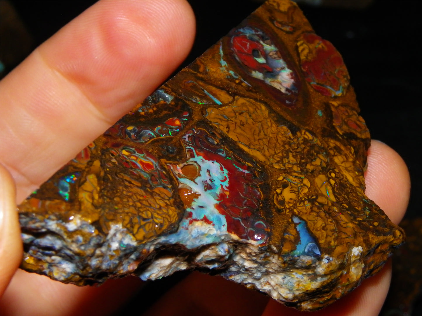 2 Nice Rough/Sliced Koroit/Conglomerate Opals 800cts Queensland Australia