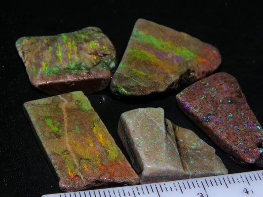 5 Nice Rough/Sliced Andamooka Matrix Opals 77.1cts Orange/Green Fires :)