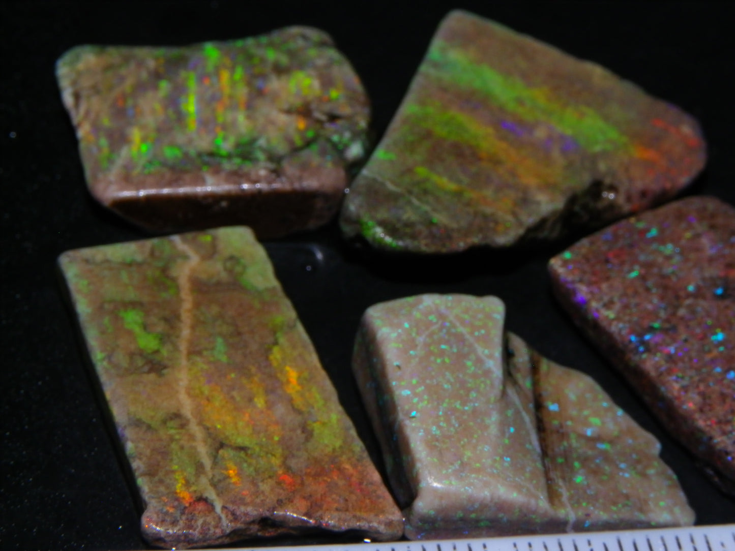 5 Nice Rough/Sliced Andamooka Matrix Opals 77.1cts Orange/Green Fires :)