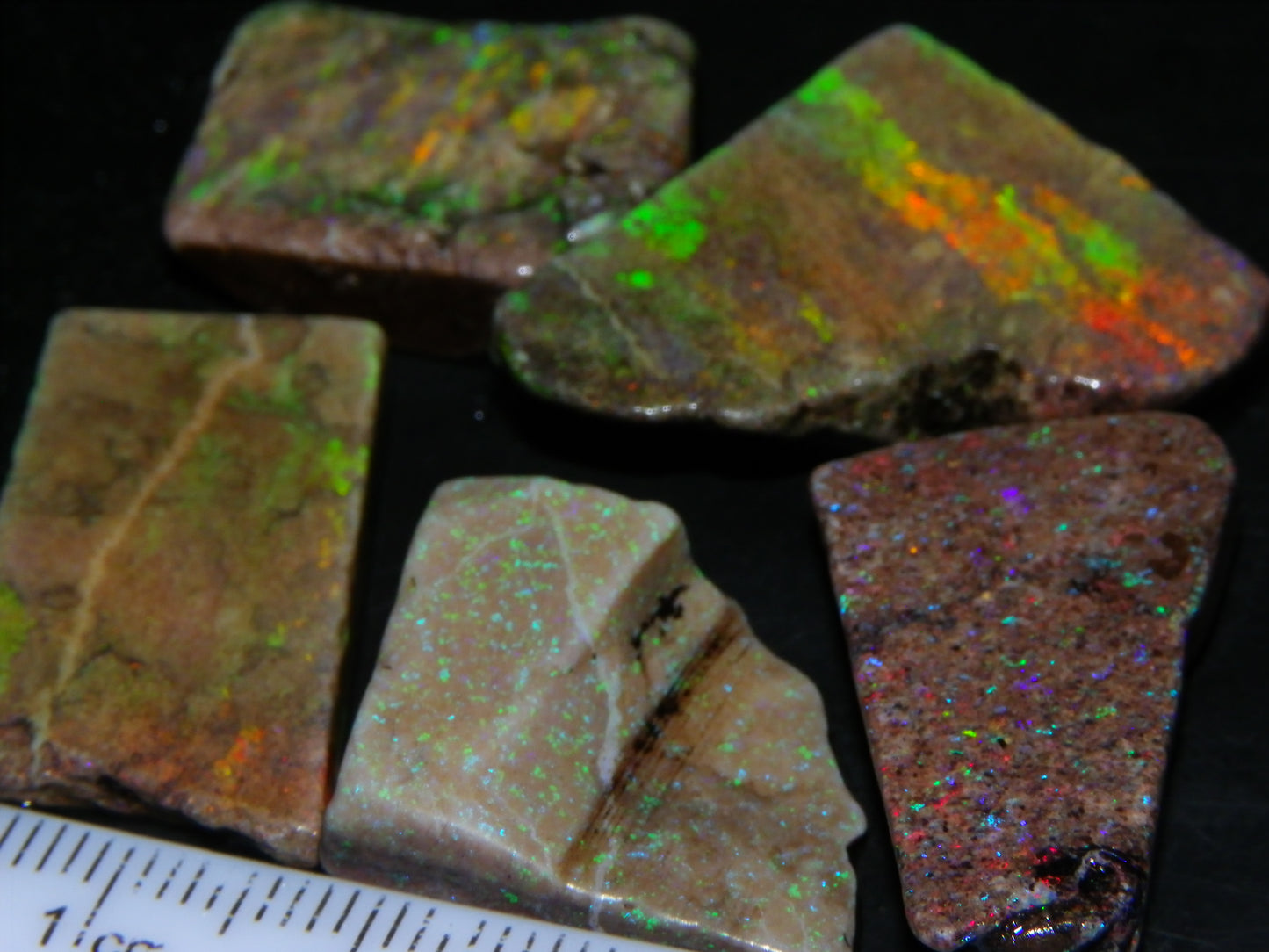 5 Nice Rough/Sliced Andamooka Matrix Opals 77.1cts Orange/Green Fires :)