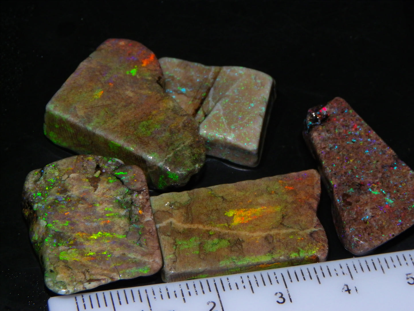 5 Nice Rough/Sliced Andamooka Matrix Opals 77.1cts Orange/Green Fires :)