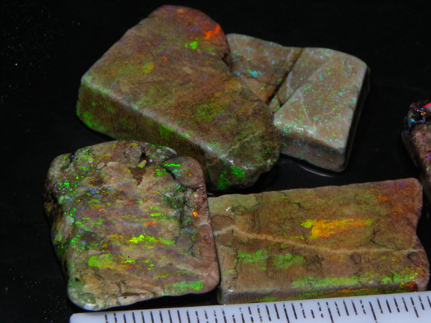 5 Nice Rough/Sliced Andamooka Matrix Opals 77.1cts Orange/Green Fires :)