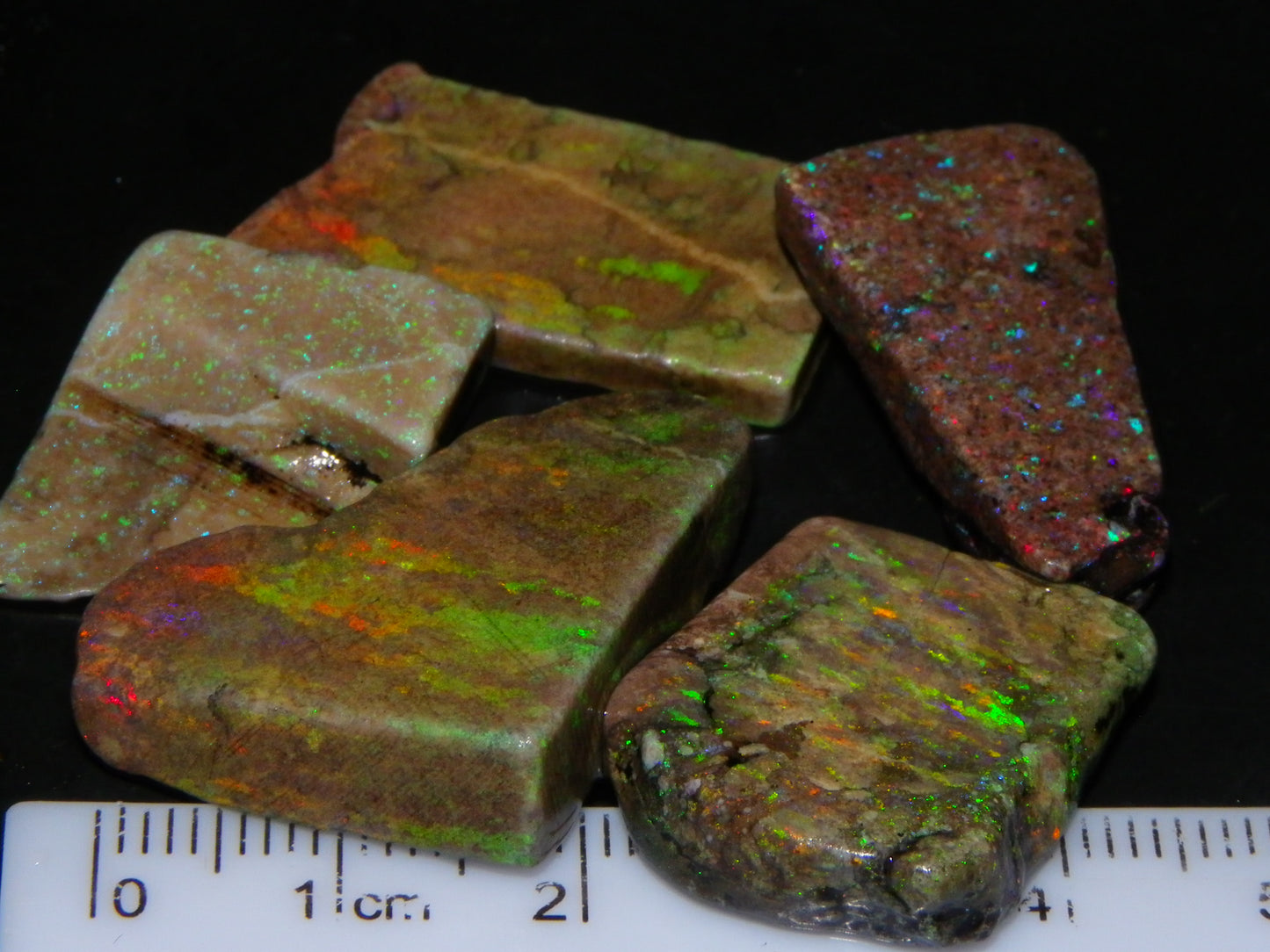 5 Nice Rough/Sliced Andamooka Matrix Opals 77.1cts Orange/Green Fires :)