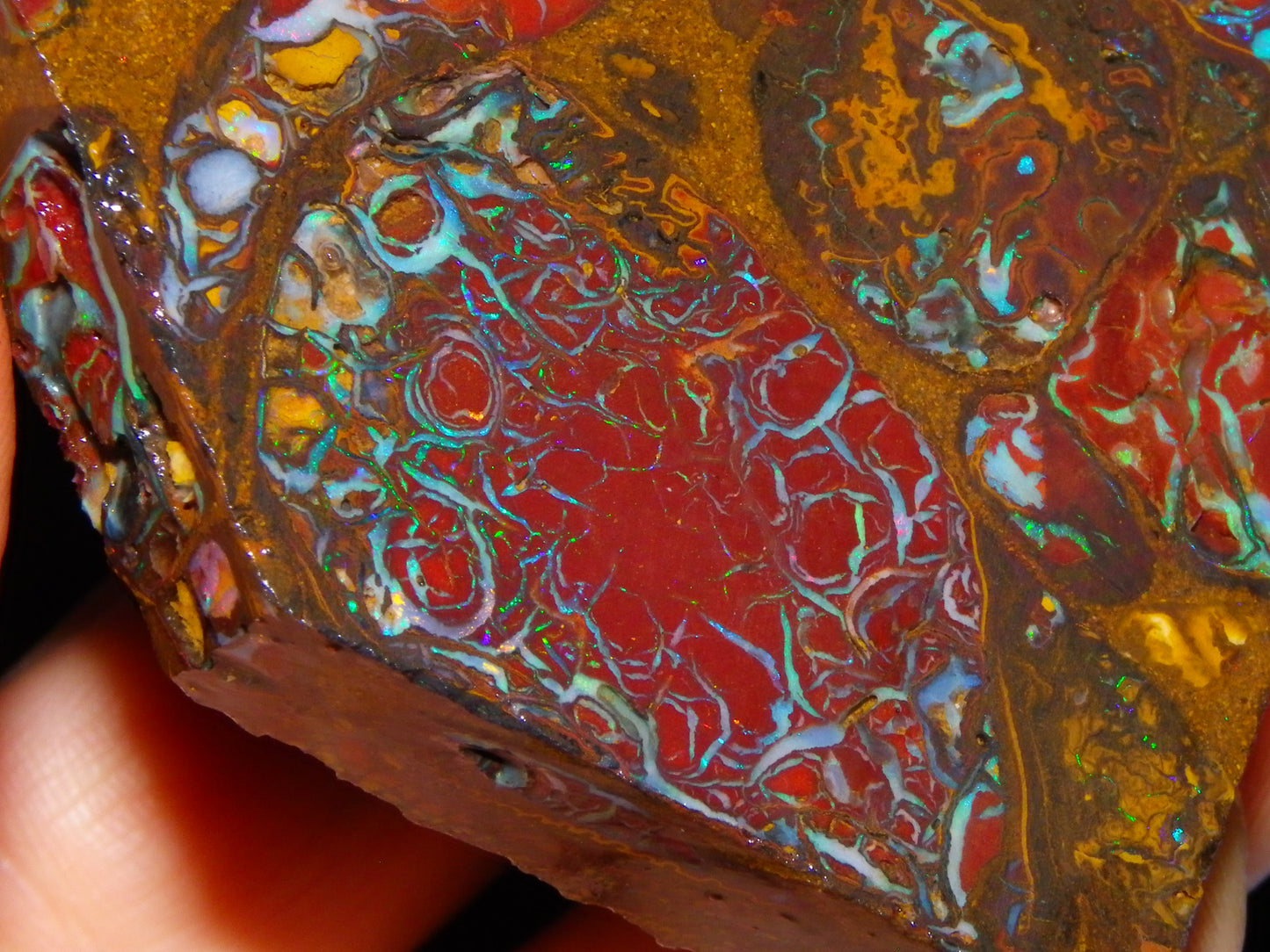 2 Nice Rough/Sliced Koroit/Conglomerate Opals 800cts Queensland Australia