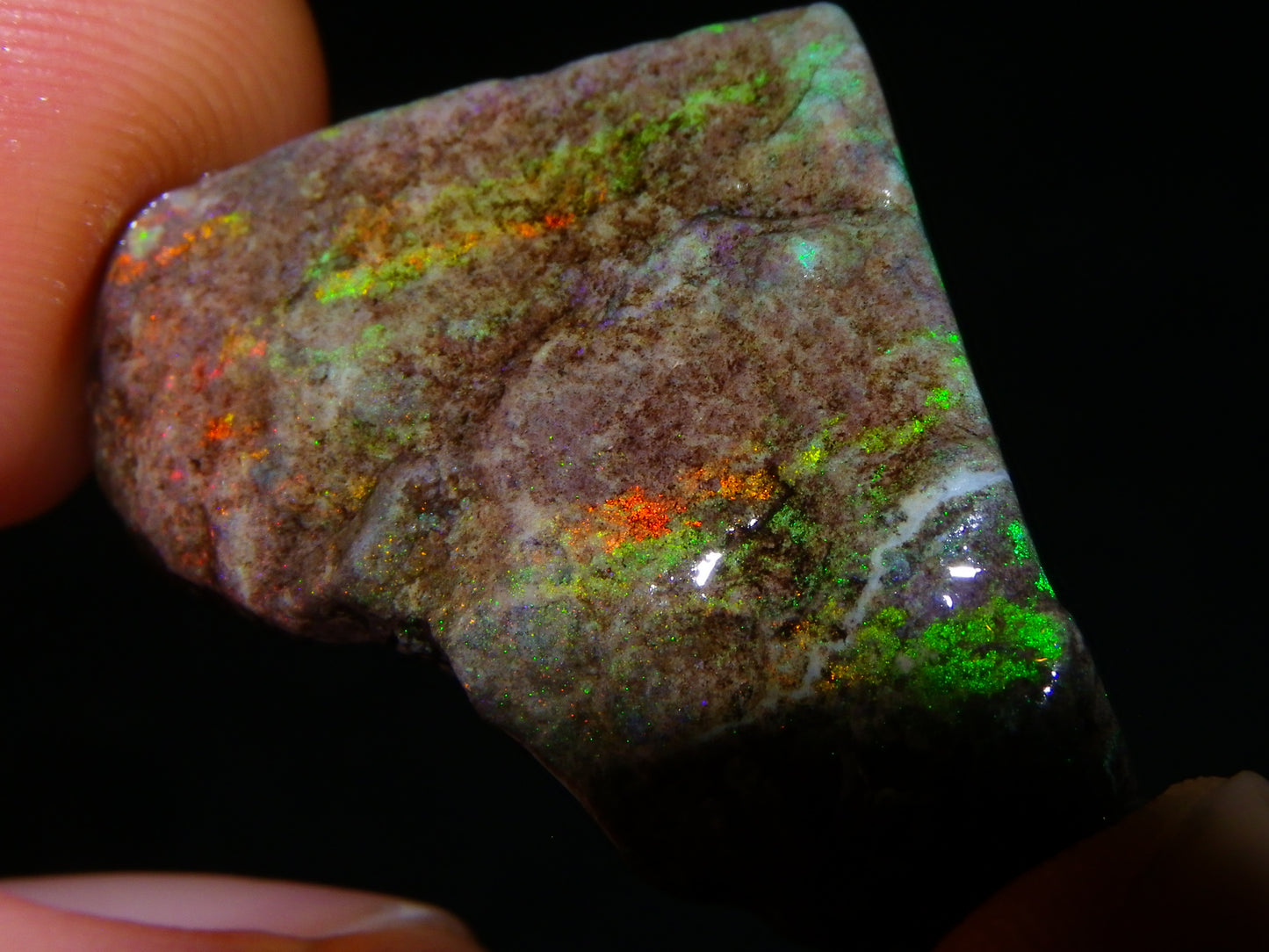 5 Nice Rough/Sliced Andamooka Matrix Opals 77.1cts Orange/Green Fires :)