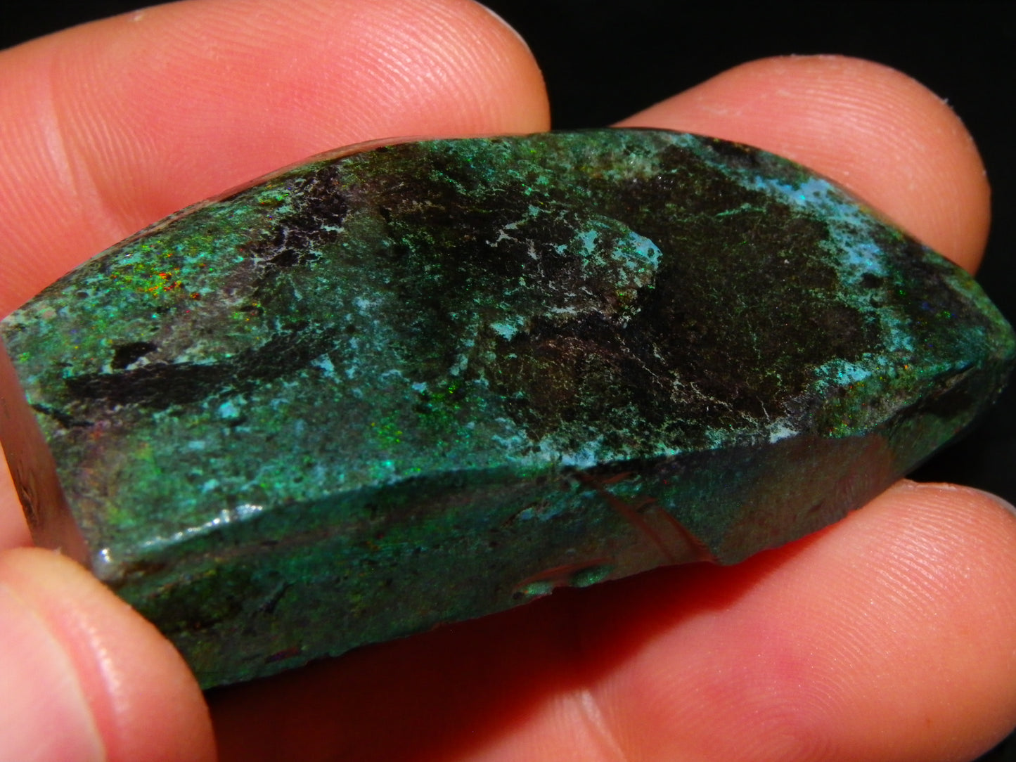 2 Treated/Andamooka Matrix Opal Rough Specimens 417cts Green/Pink Fires