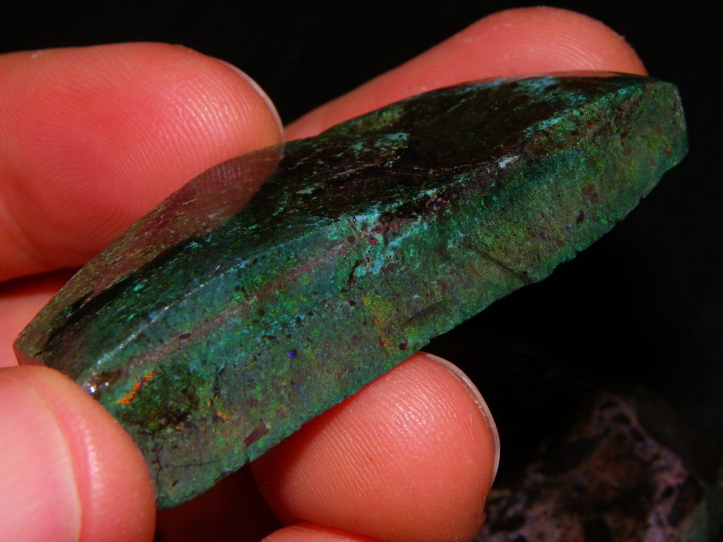 2 Treated/Andamooka Matrix Opal Rough Specimens 417cts Green/Pink Fires