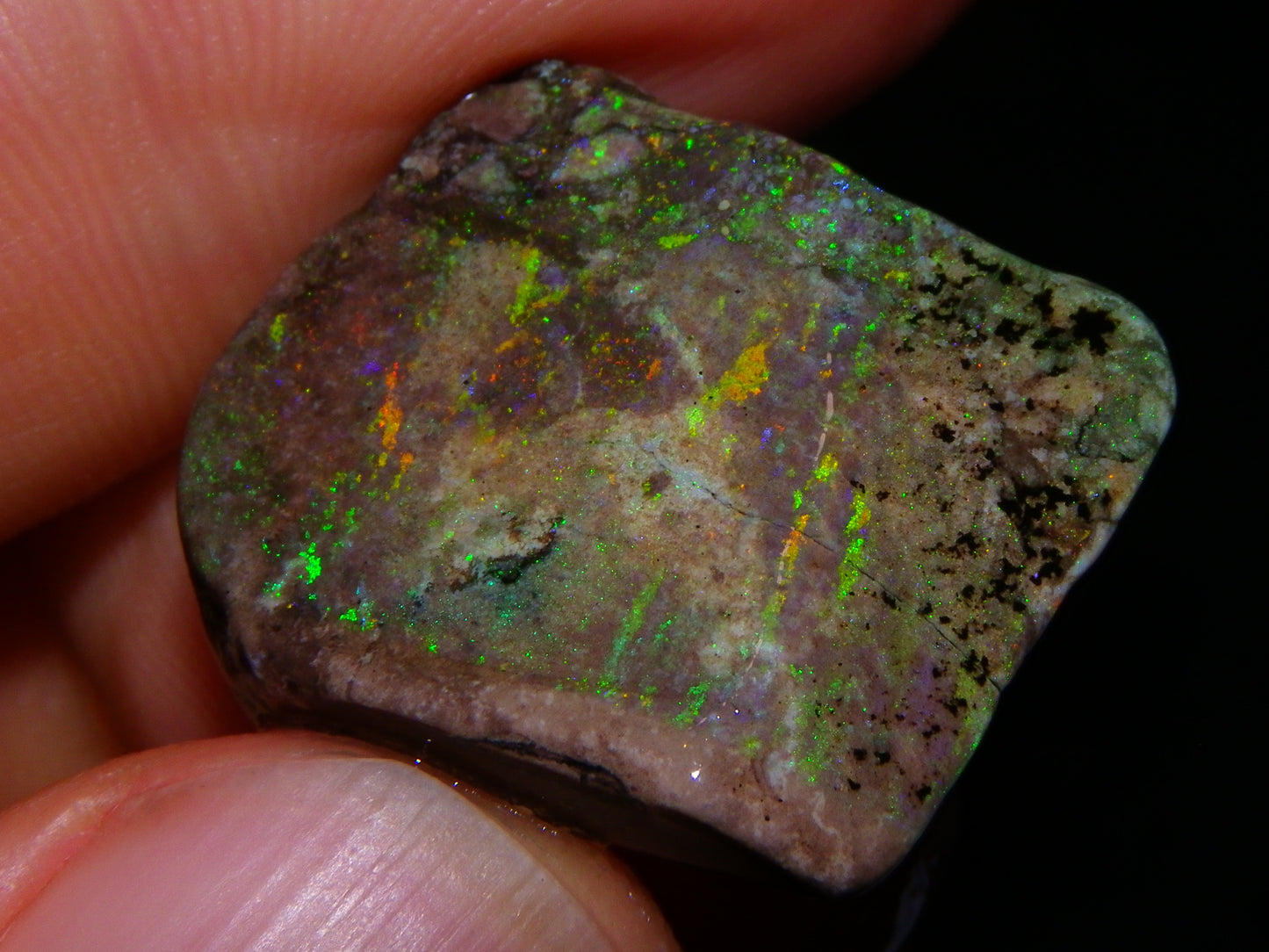 5 Nice Rough/Sliced Andamooka Matrix Opals 77.1cts Orange/Green Fires :)