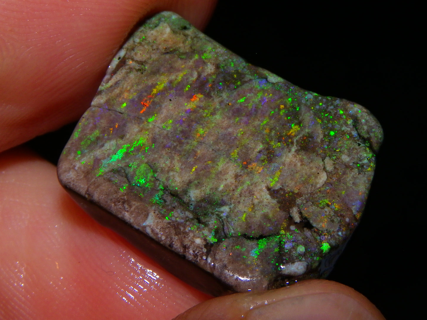 5 Nice Rough/Sliced Andamooka Matrix Opals 77.1cts Orange/Green Fires :)