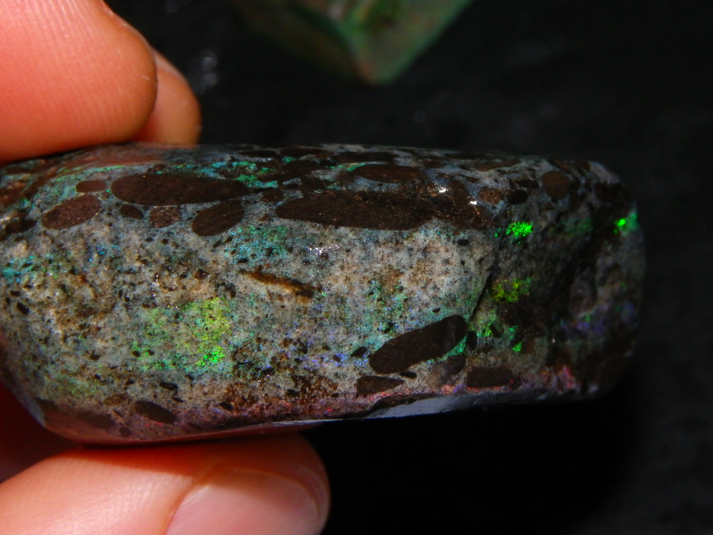 2 Treated/Andamooka Matrix Opal Rough Specimens 417cts Green/Pink Fires