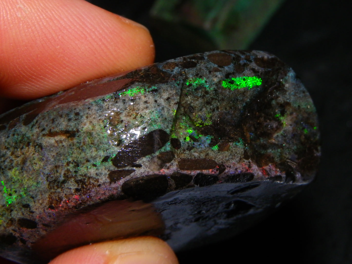 2 Treated/Andamooka Matrix Opal Rough Specimens 417cts Green/Pink Fires