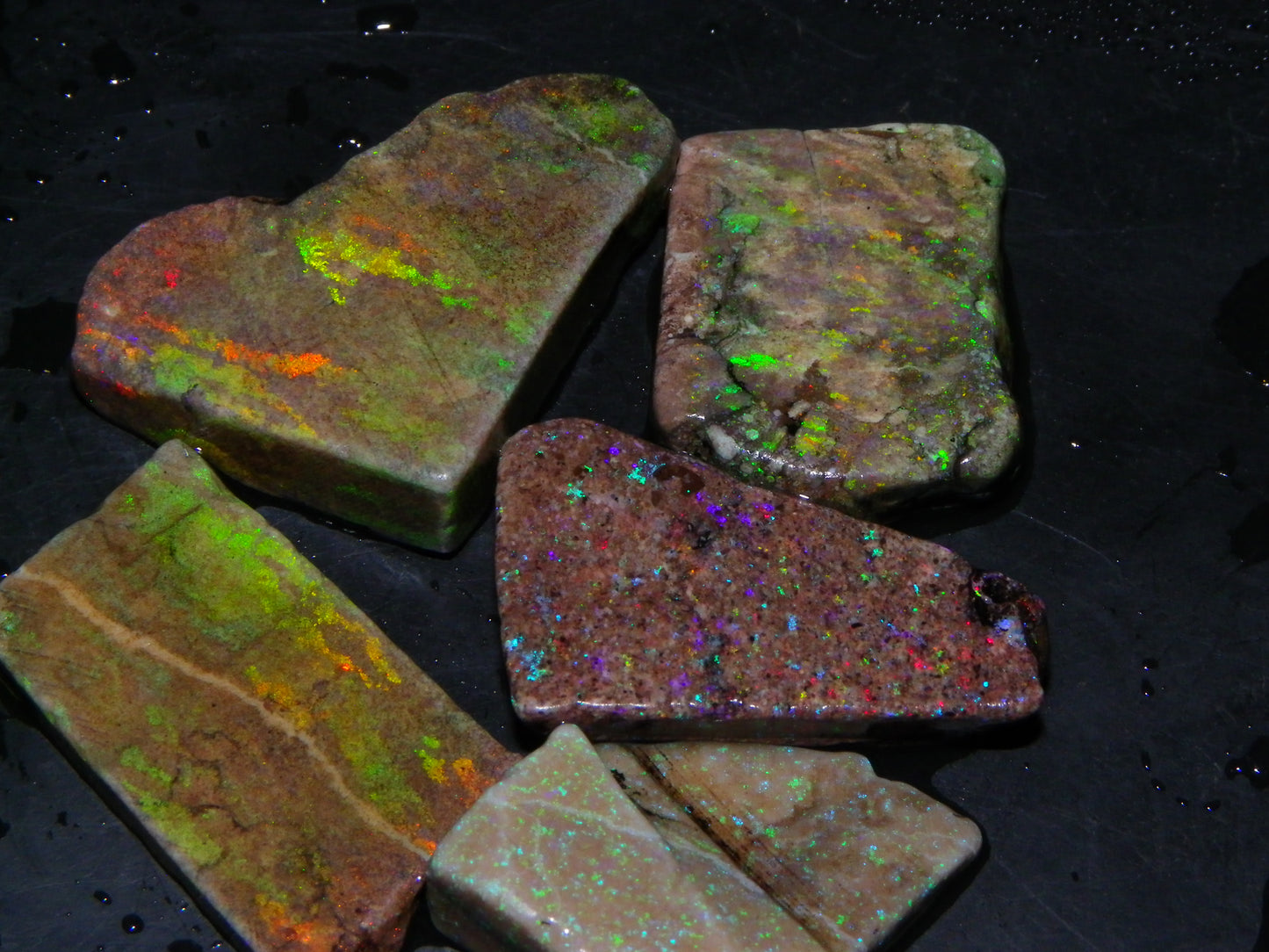 5 Nice Rough/Sliced Andamooka Matrix Opals 77.1cts Orange/Green Fires :)