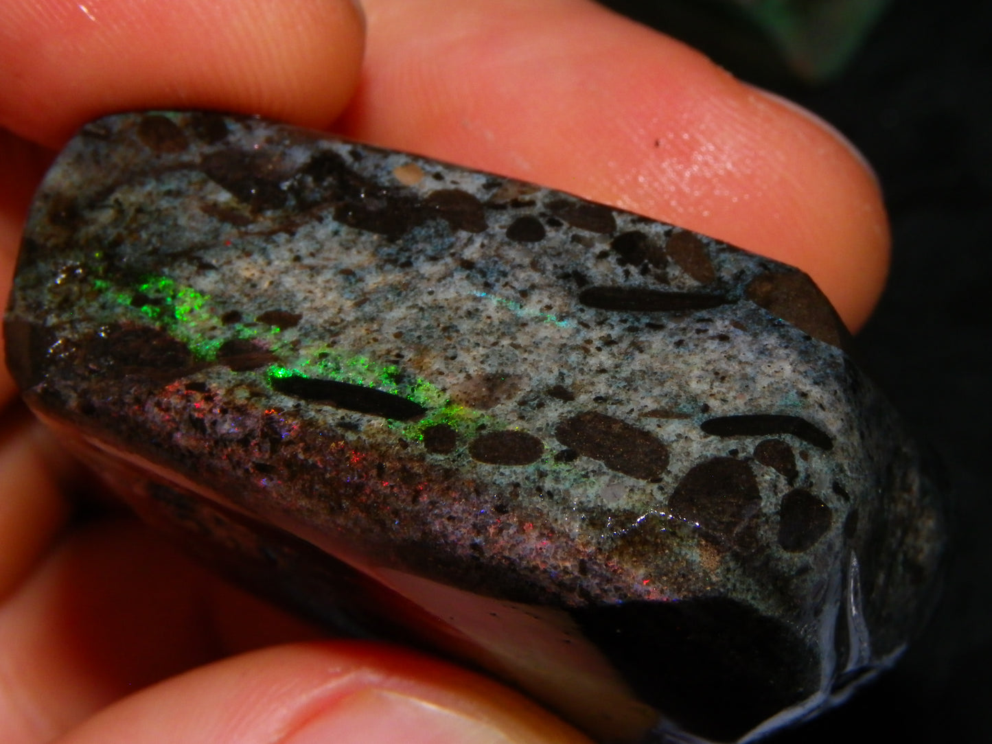 2 Treated/Andamooka Matrix Opal Rough Specimens 417cts Green/Pink Fires