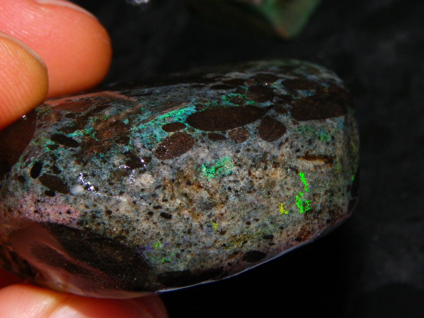 2 Treated/Andamooka Matrix Opal Rough Specimens 417cts Green/Pink Fires