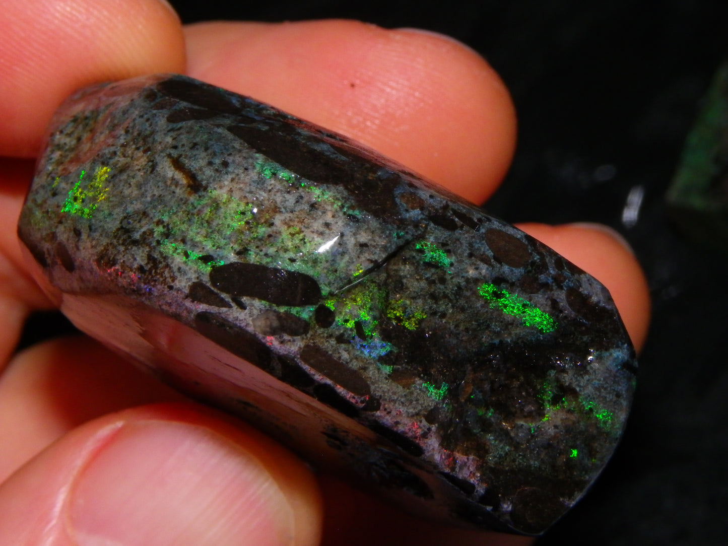 2 Treated/Andamooka Matrix Opal Rough Specimens 417cts Green/Pink Fires