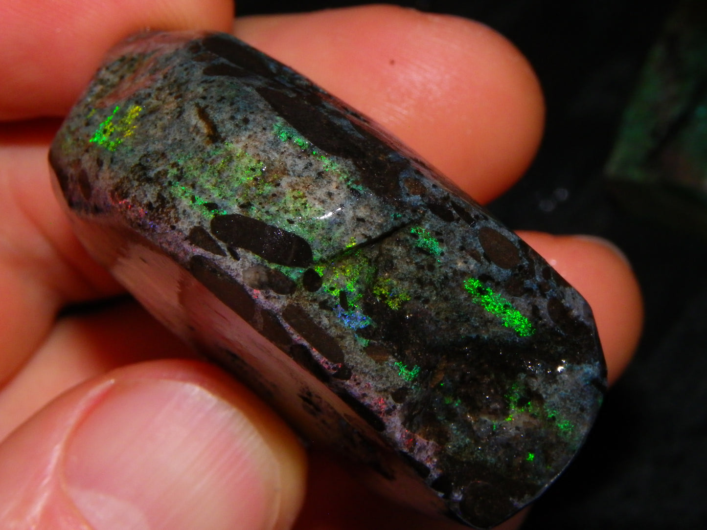 2 Treated/Andamooka Matrix Opal Rough Specimens 417cts Green/Pink Fires