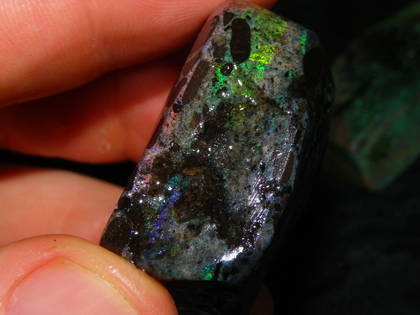 2 Treated/Andamooka Matrix Opal Rough Specimens 417cts Green/Pink Fires