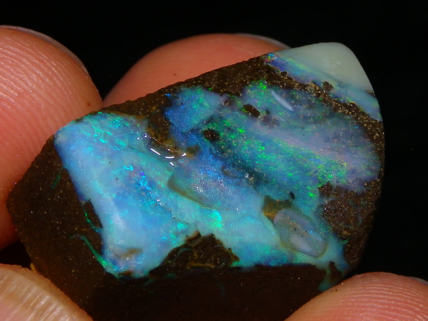 3 Nice Rough/Sliced Boulder Opal specimens 172.5cts Queensland Australia