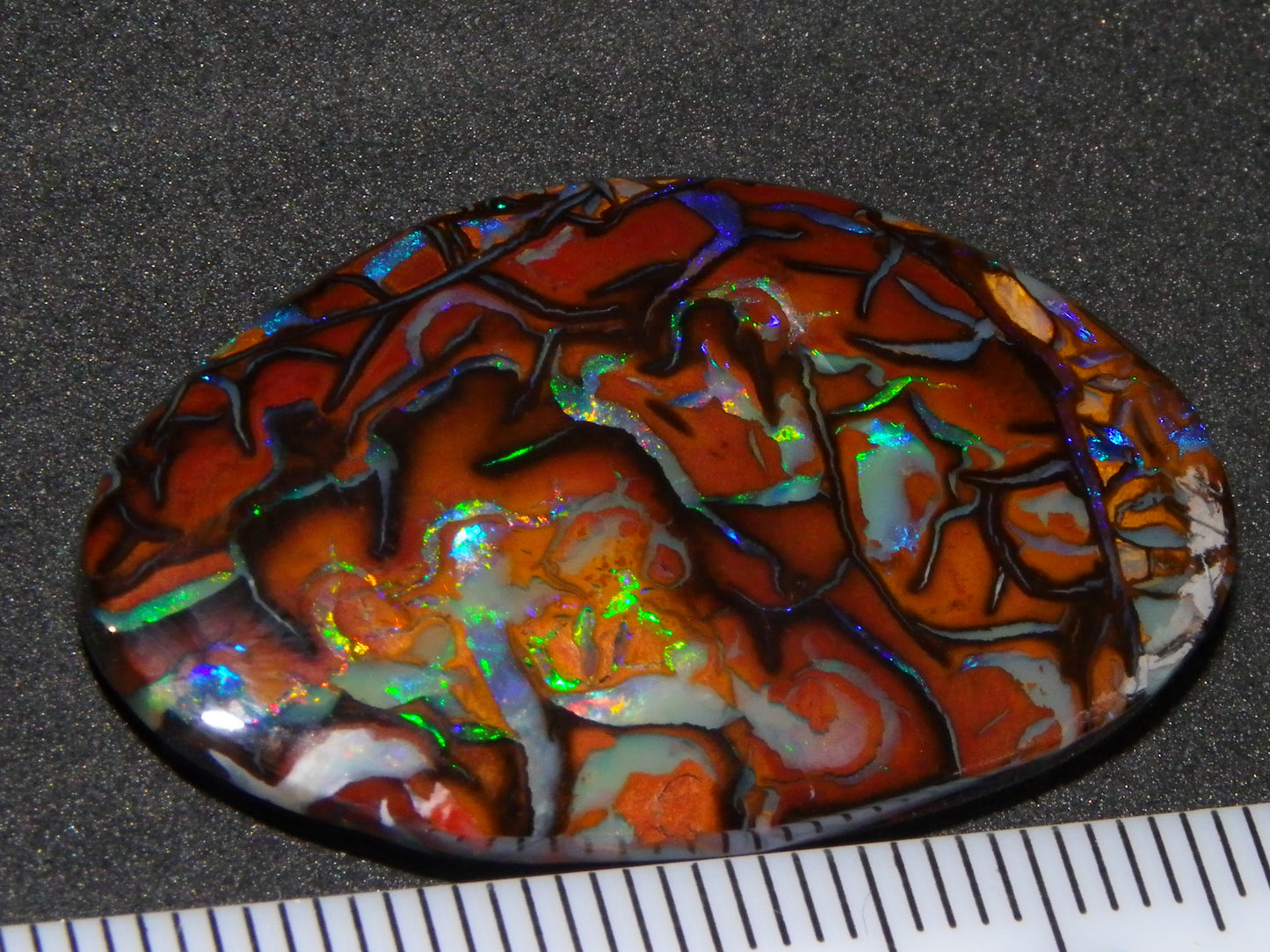 Quality Cut/Polished Koroit Opal Cab 33.78cts Double sided Pattern/Fires Queensland Australia