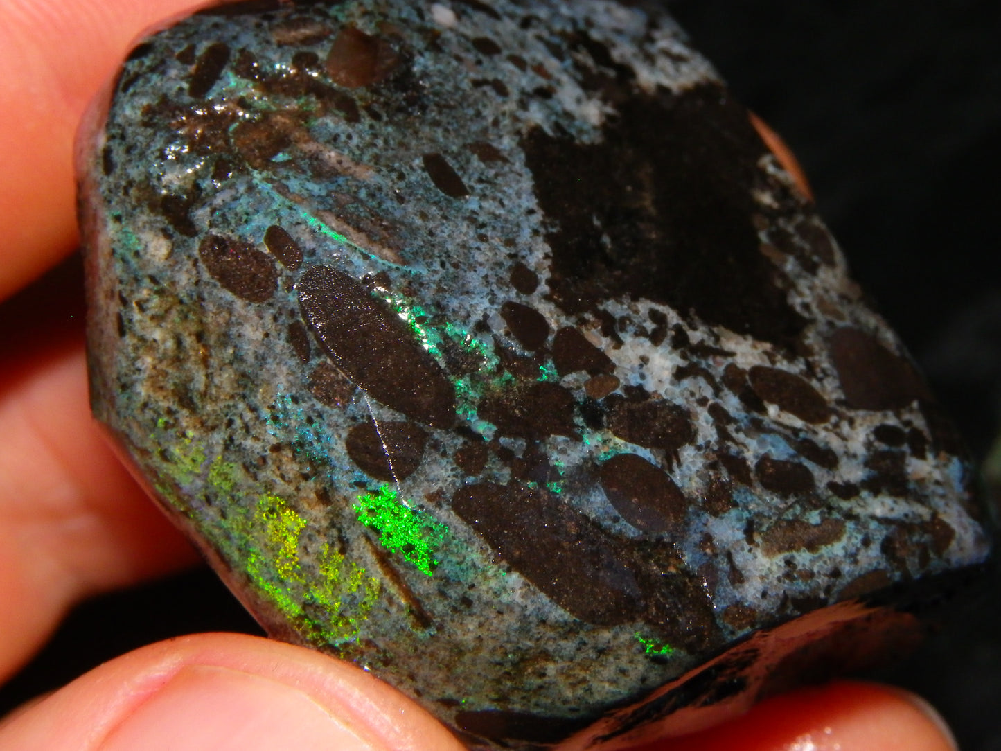 2 Treated/Andamooka Matrix Opal Rough Specimens 417cts Green/Pink Fires