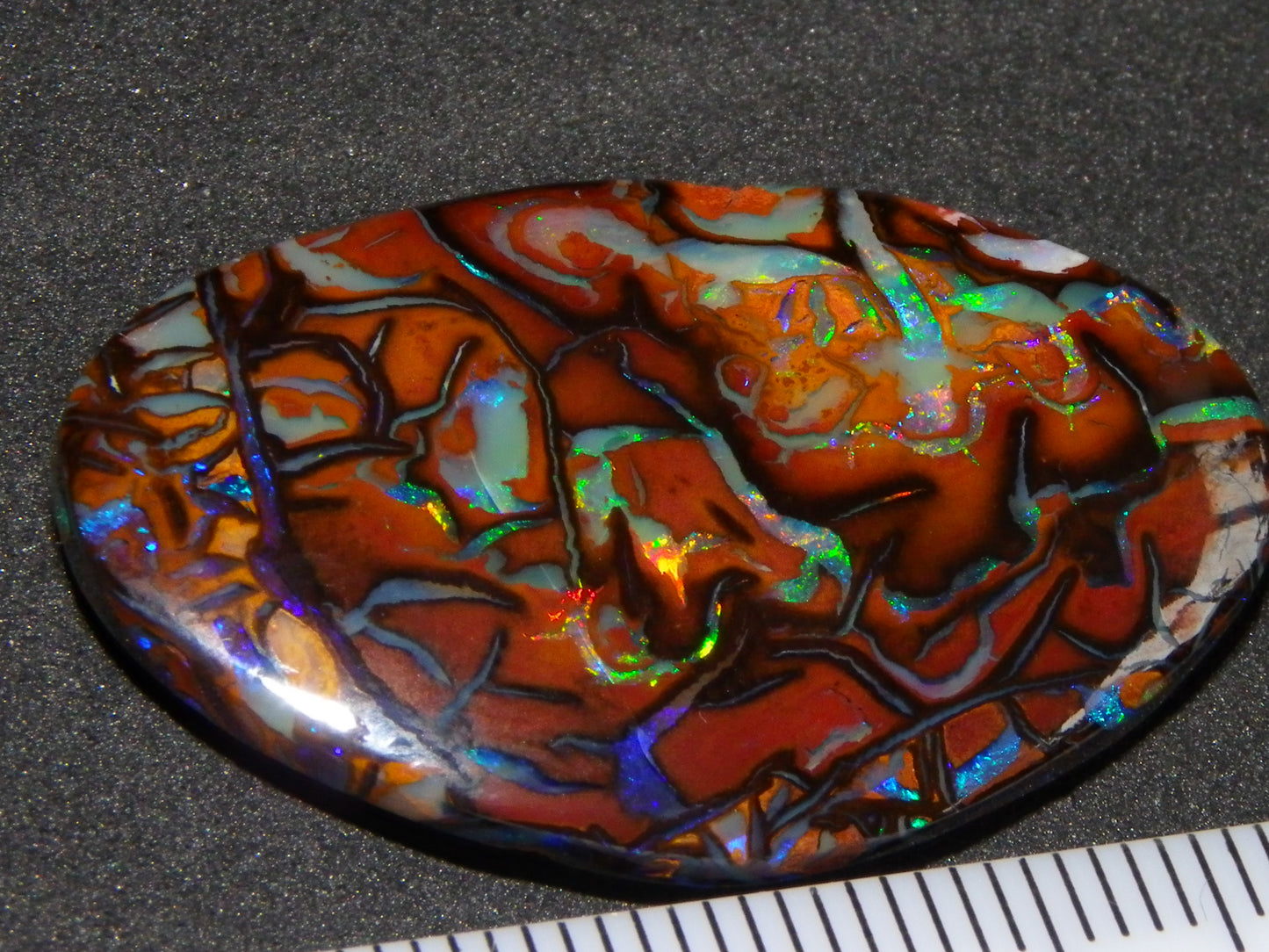 Quality Cut/Polished Koroit Opal Cab 33.78cts Double sided Pattern/Fires Queensland Australia