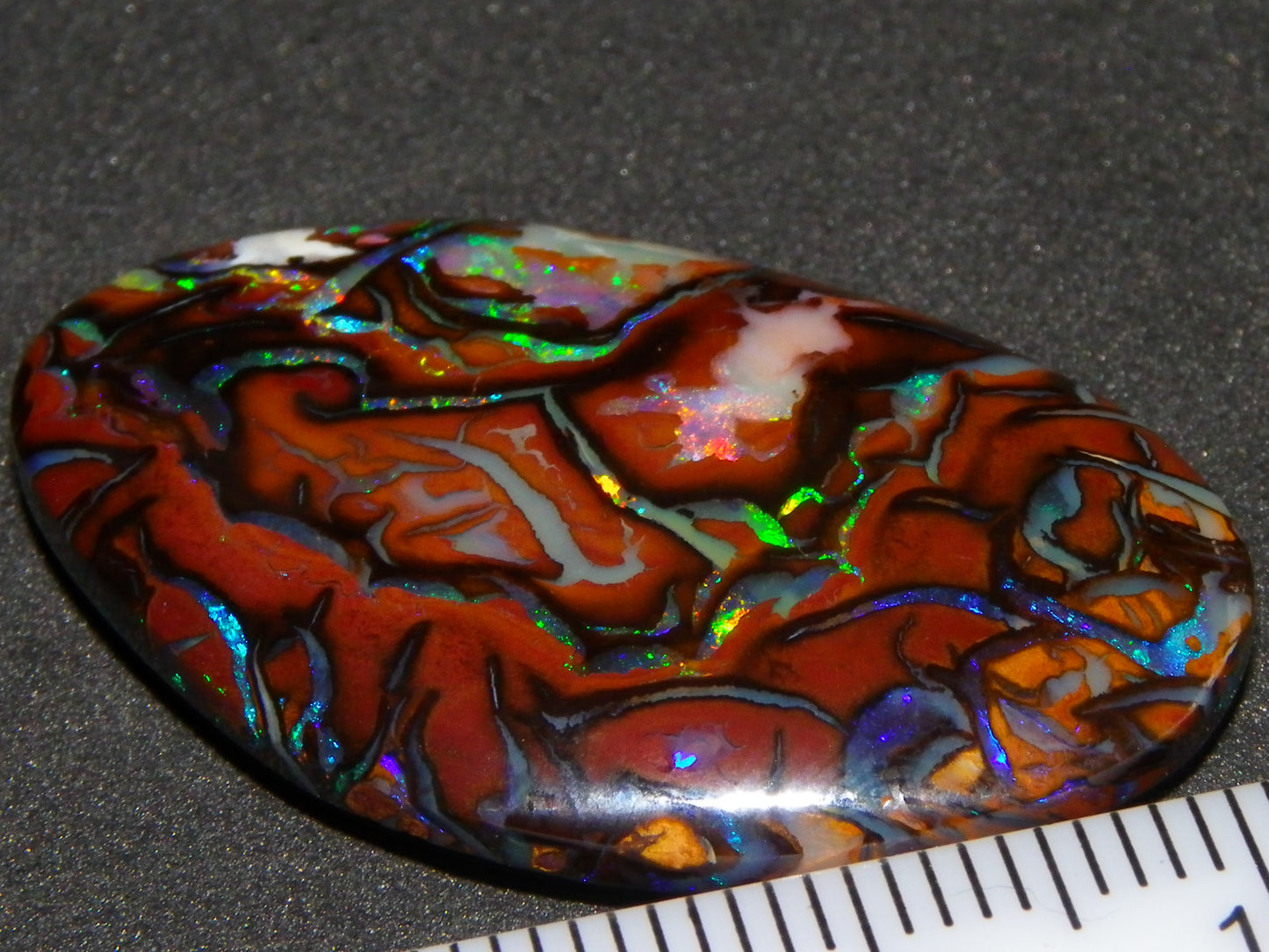 Quality Cut/Polished Koroit Opal Cab 33.78cts Double sided Pattern/Fires Queensland Australia