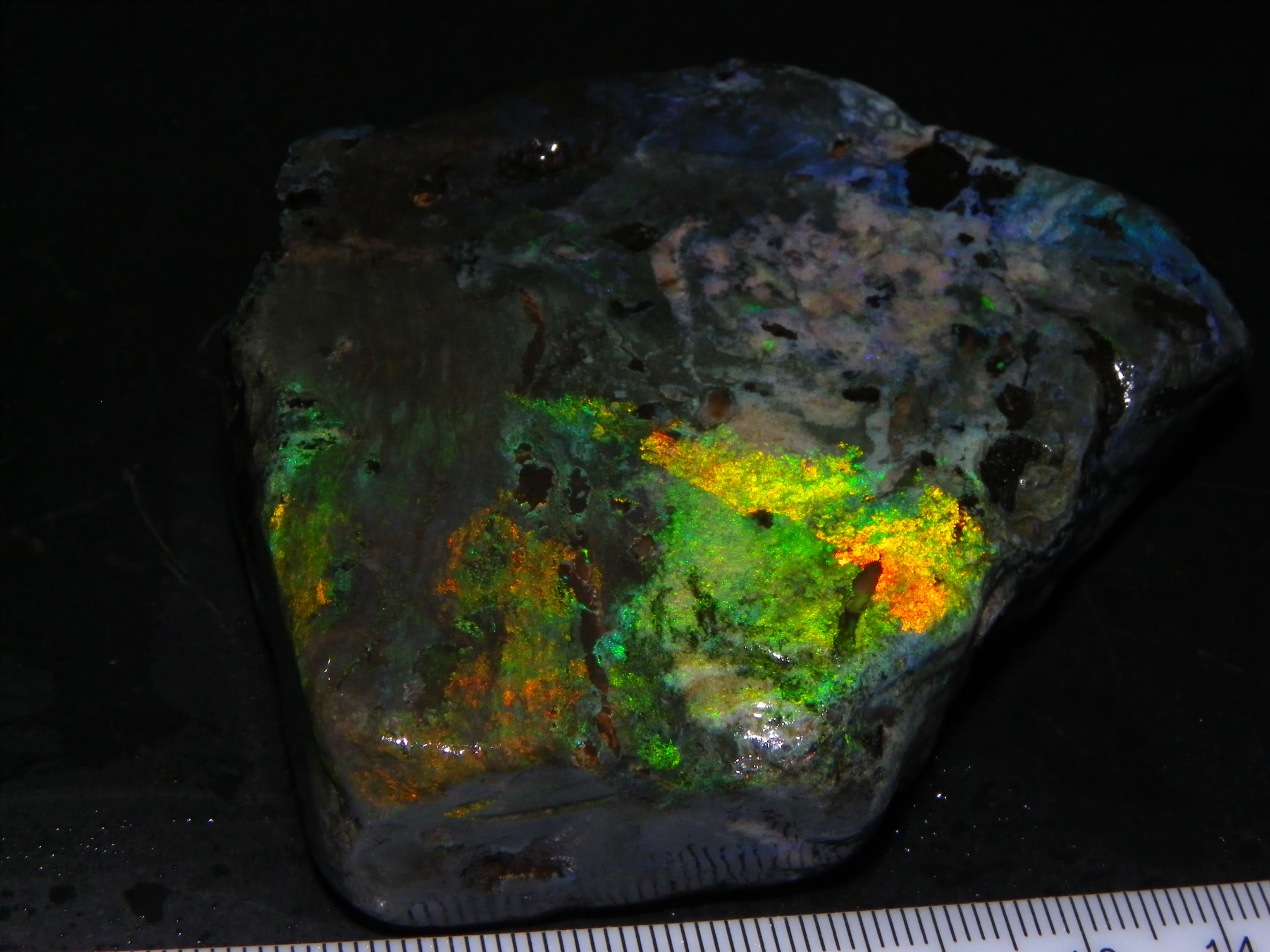 NIce Chunk Rough/Treated Andamooka Matrix Opal 628cts Multicolour Fire ...