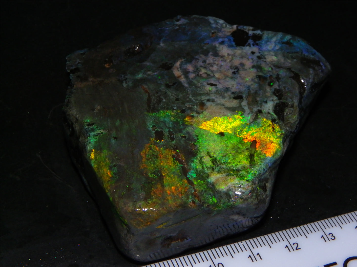 NIce Chunk Rough/Treated Andamooka Matrix Opal 628cts Multicolour Fires/Bars