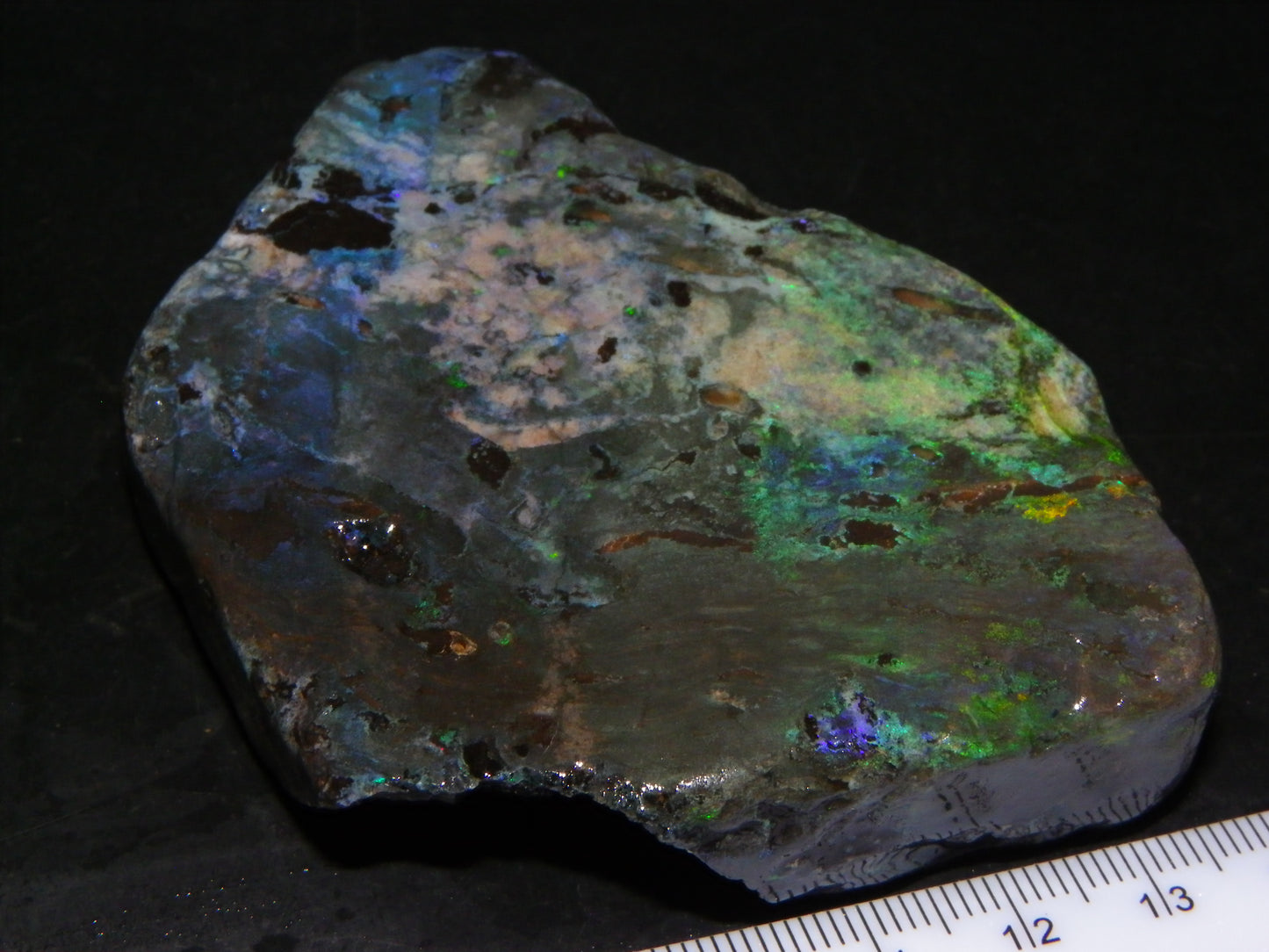 NIce Chunk Rough/Treated Andamooka Matrix Opal 628cts Multicolour Fires/Bars