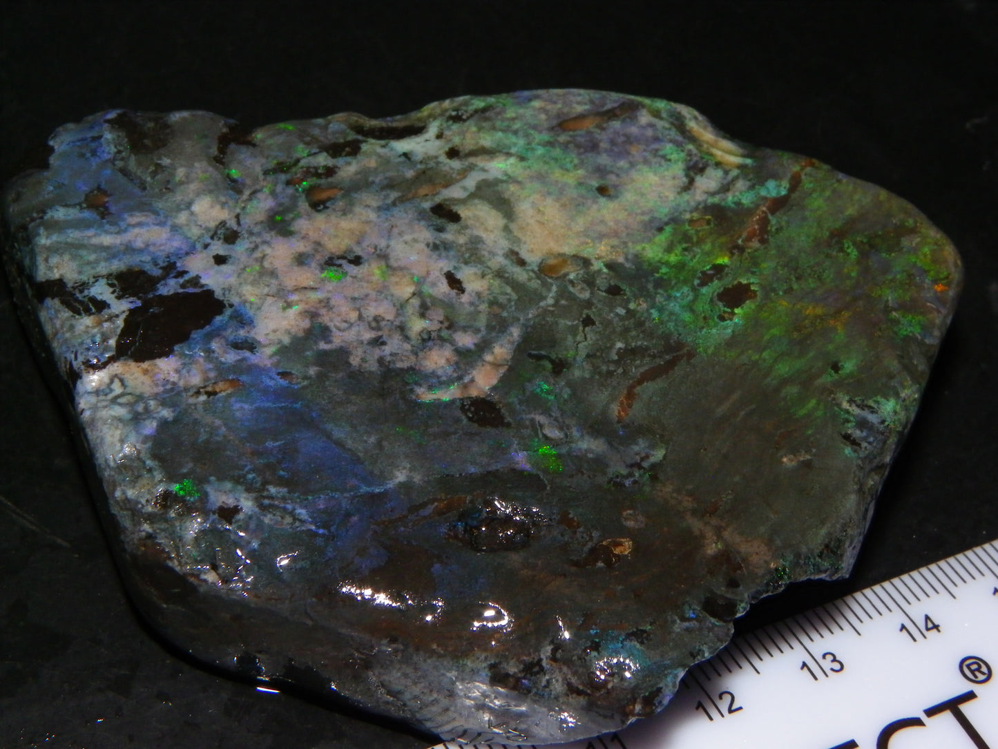 NIce Chunk Rough/Treated Andamooka Matrix Opal 628cts Multicolour Fires/Bars