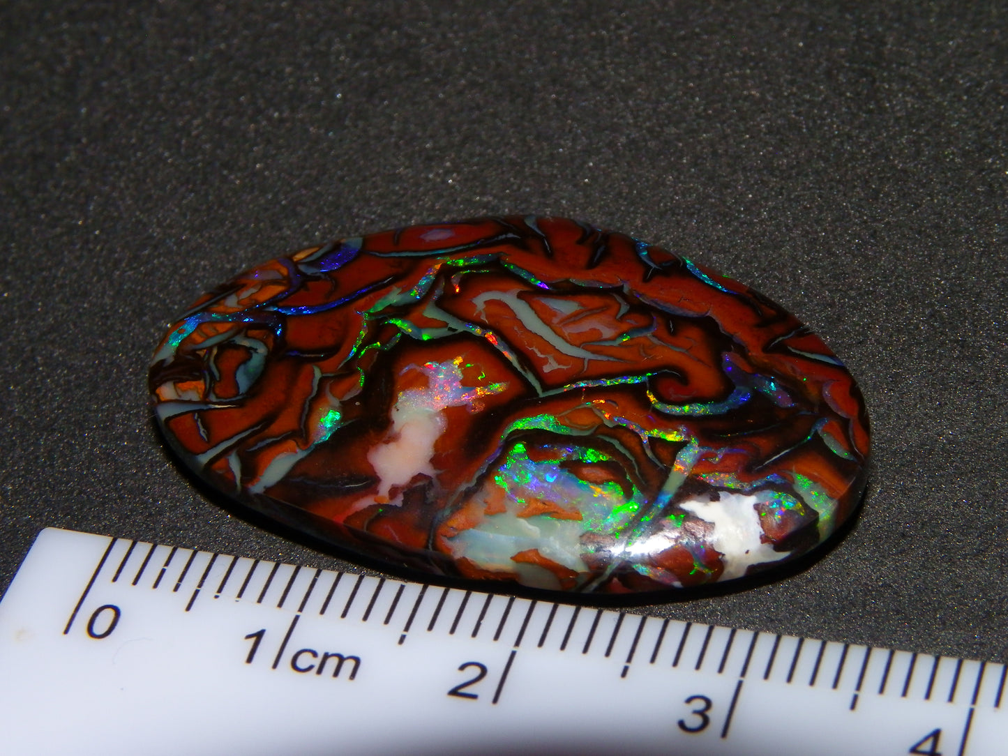 Quality Cut/Polished Koroit Opal Cab 33.78cts Double sided Pattern/Fires Queensland Australia