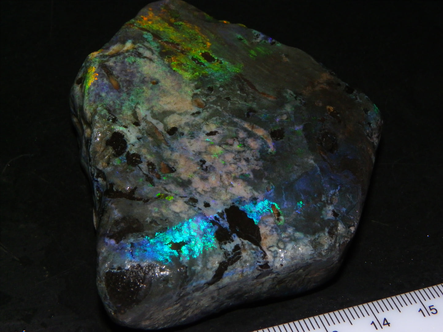 NIce Chunk Rough/Treated Andamooka Matrix Opal 628cts Multicolour Fires/Bars