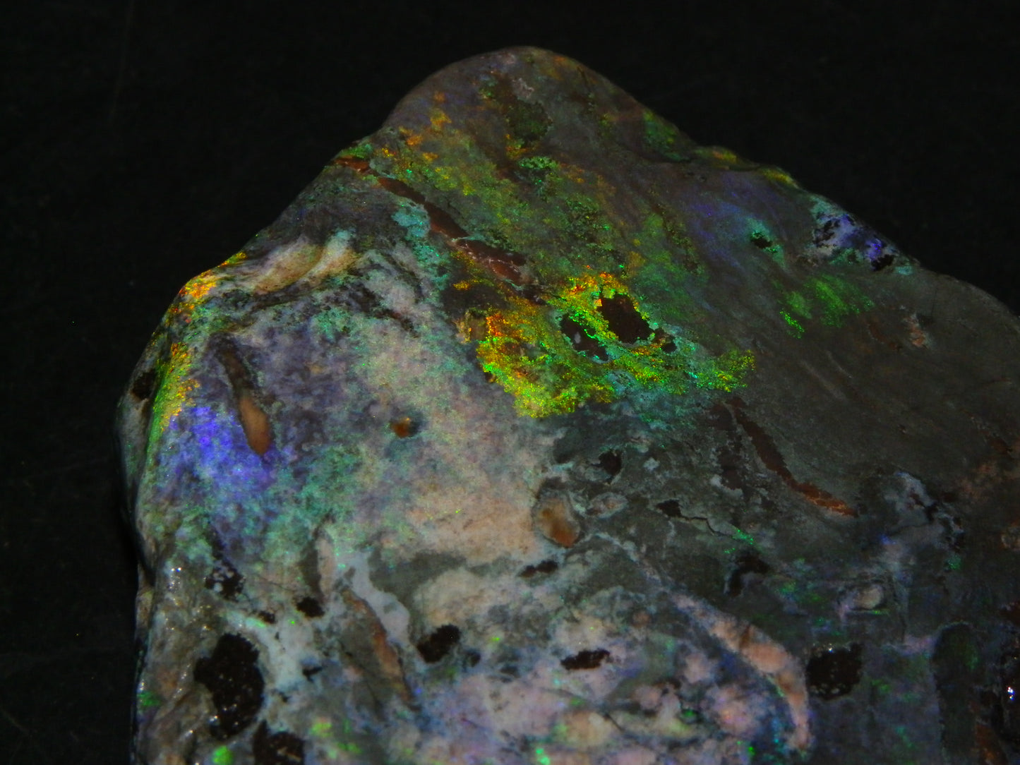 NIce Chunk Rough/Treated Andamooka Matrix Opal 628cts Multicolour Fires/Bars