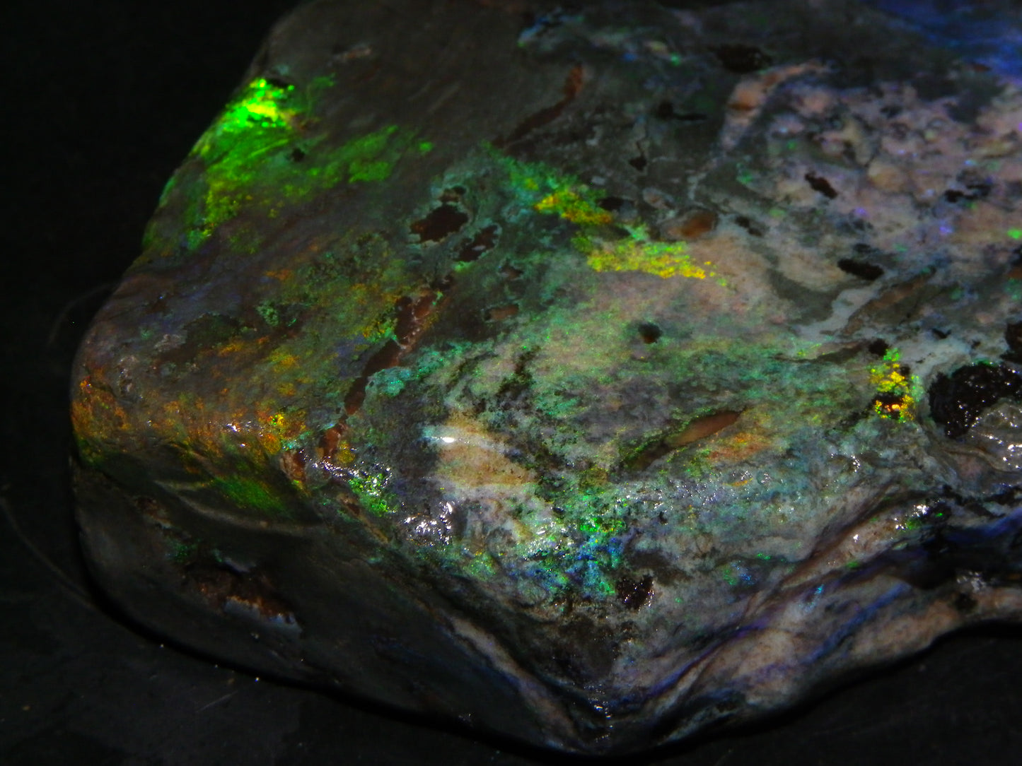 NIce Chunk Rough/Treated Andamooka Matrix Opal 628cts Multicolour Fires/Bars