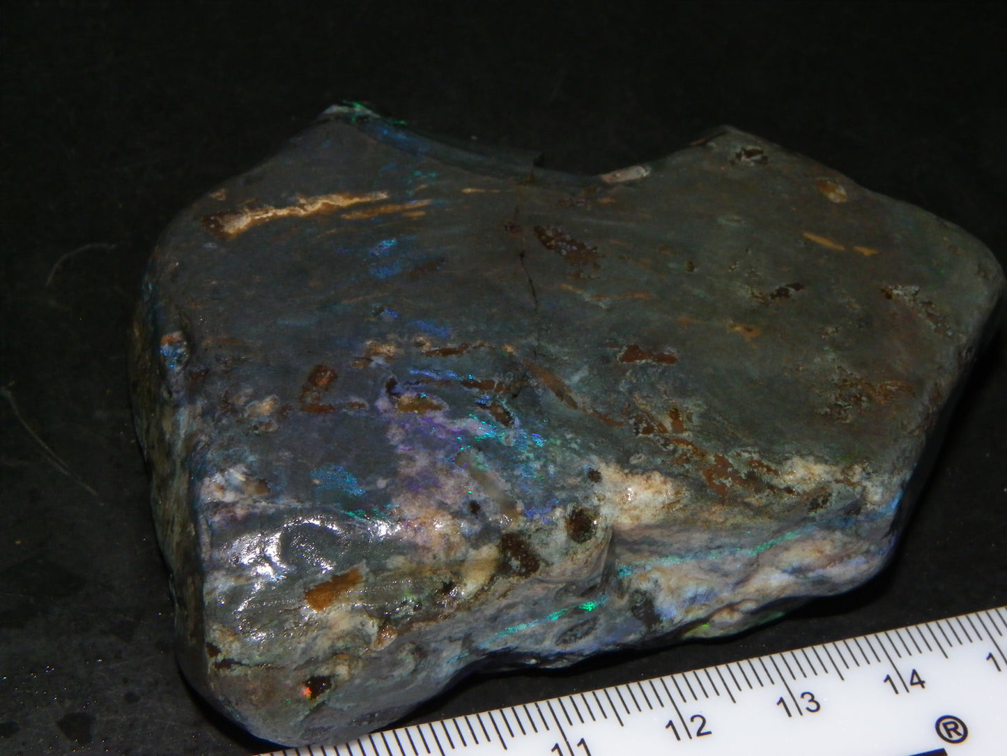 NIce Chunk Rough/Treated Andamooka Matrix Opal 628cts Multicolour Fires/Bars