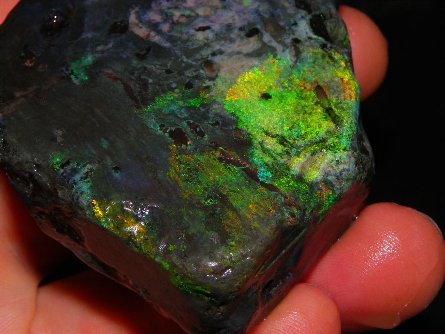 NIce Chunk Rough/Treated Andamooka Matrix Opal 628cts Multicolour Fires/Bars