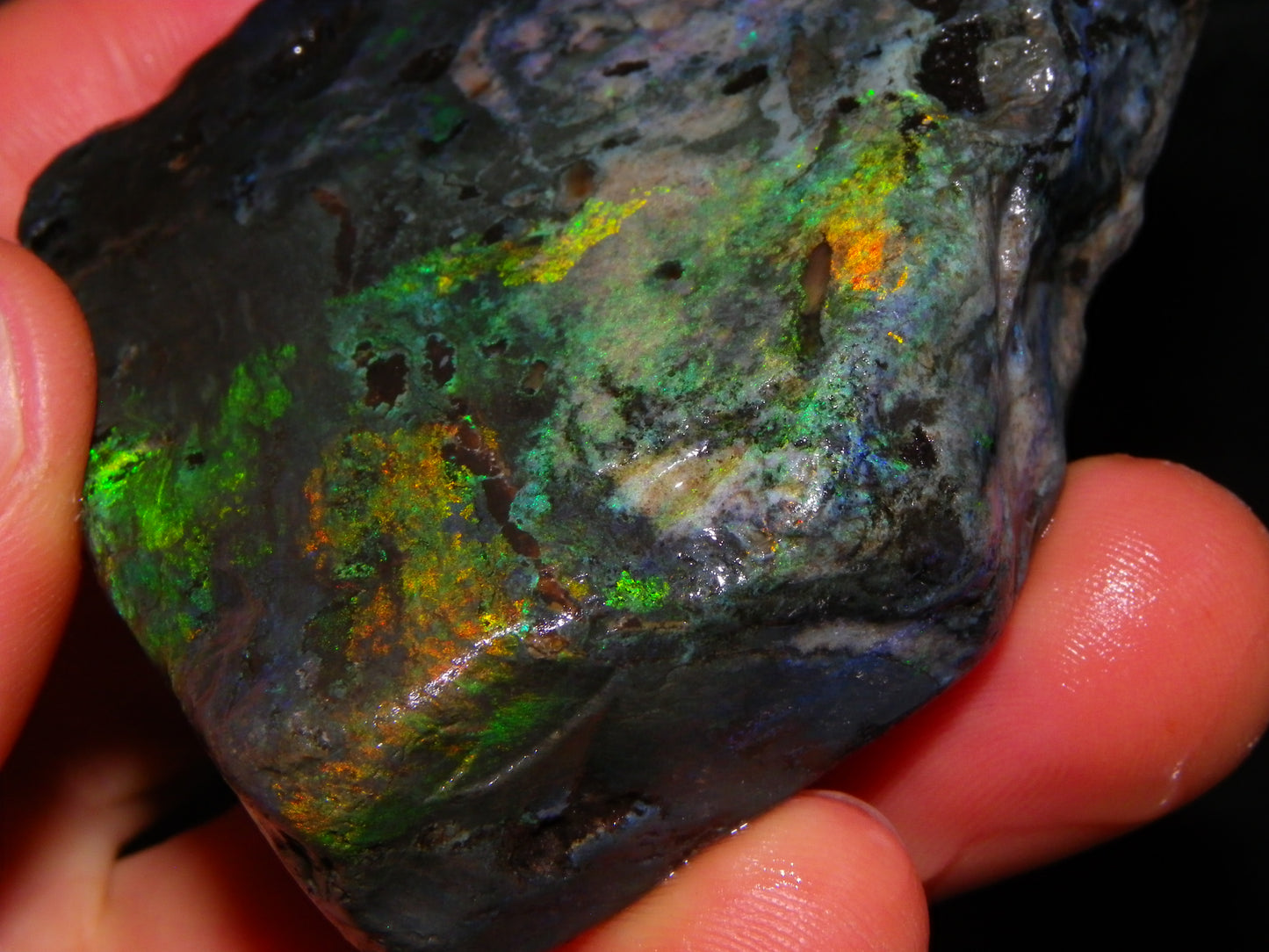 NIce Chunk Rough/Treated Andamooka Matrix Opal 628cts Multicolour Fires/Bars